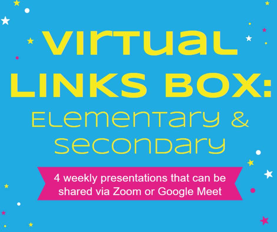 Virtual LINKS Box